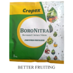 BORONITRA (1)