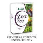 ZINC EASY (3)